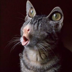 Meet your Posher, Michaela